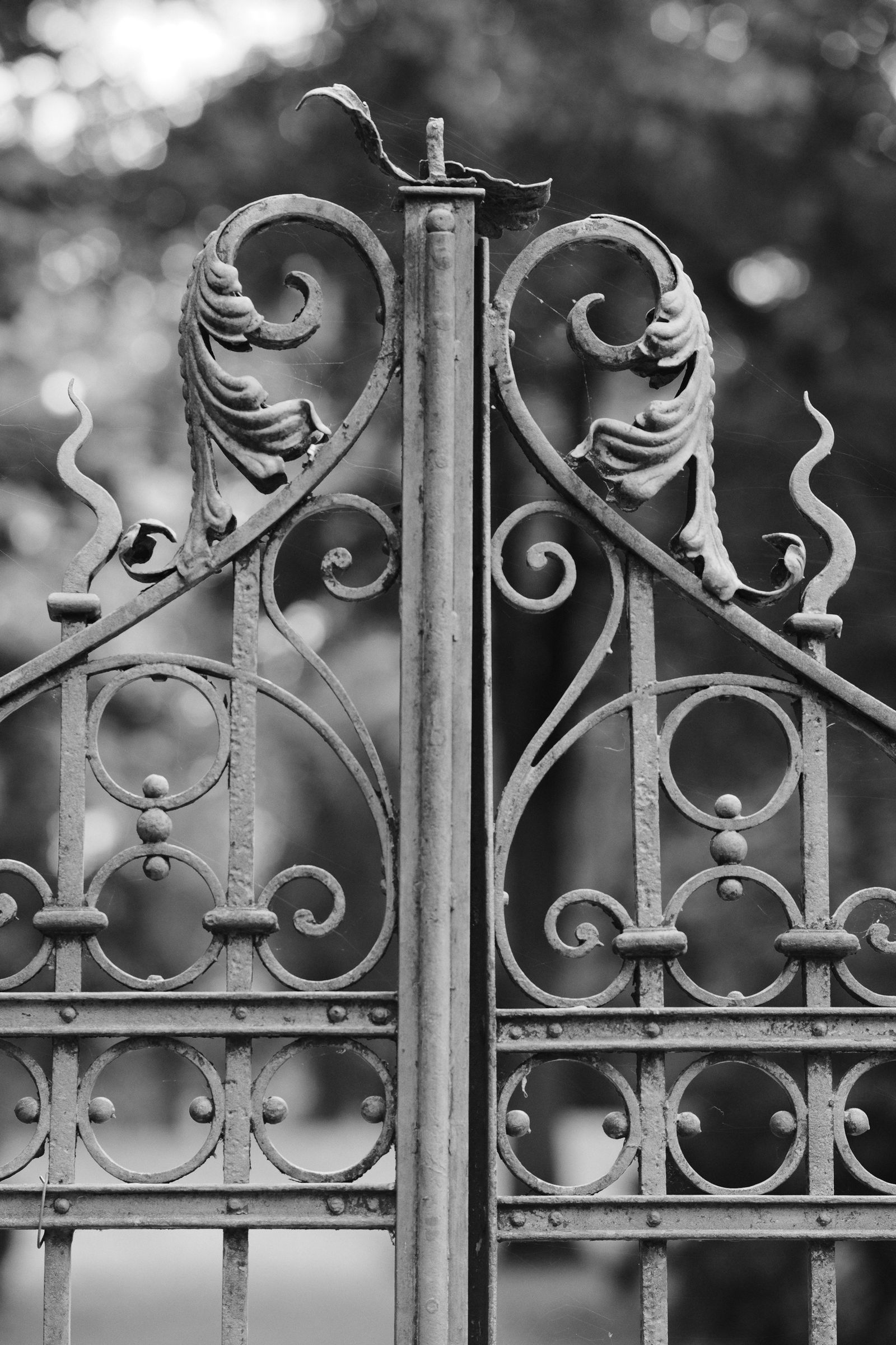 Schmiedeeiserner Torflügel mit Voluten im Detail, Schwarzweiß (Symbolfoto)